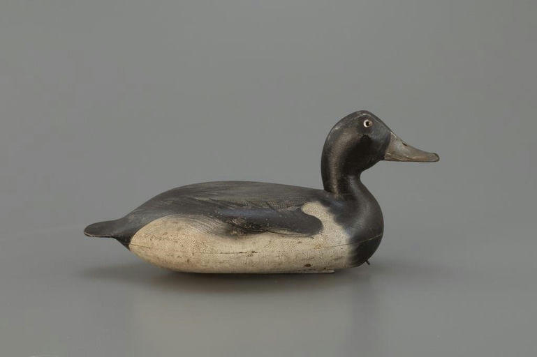 Robert Elliston – Bluebill – 2025