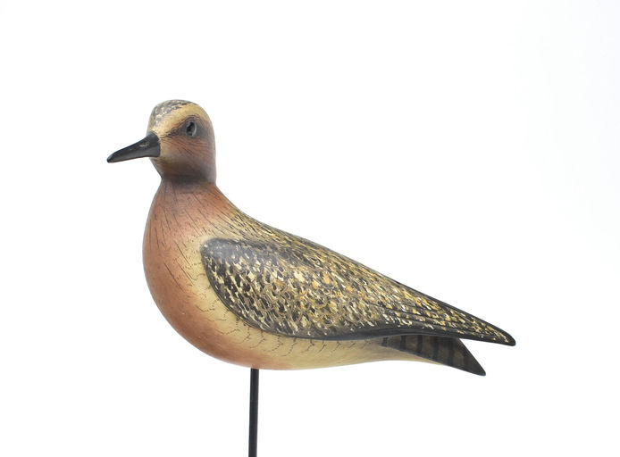 Bill Gibian – Plover – 2025