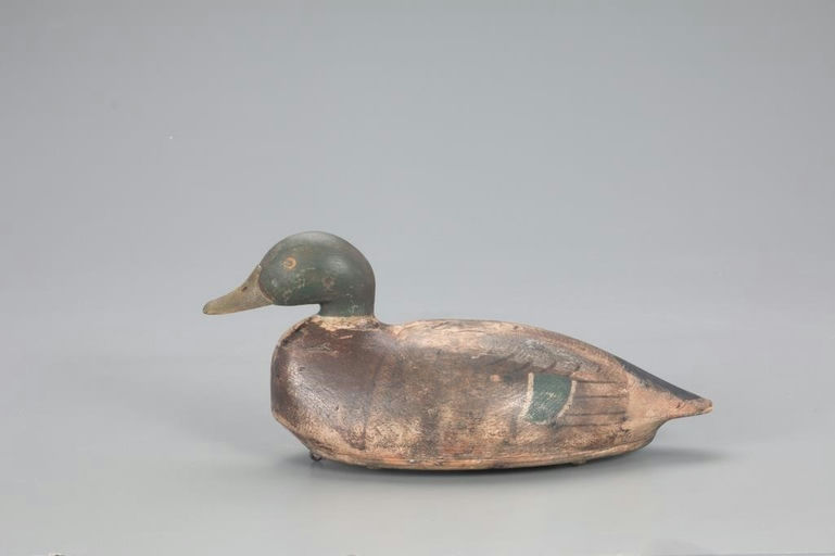 Nate Quillen – Mallard Drake – 2022