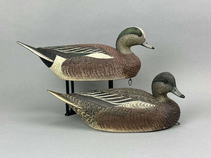 Marty Hanson – Widgeon – 2026