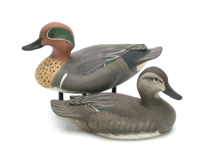 Marv Meyer — Green-winged Teal