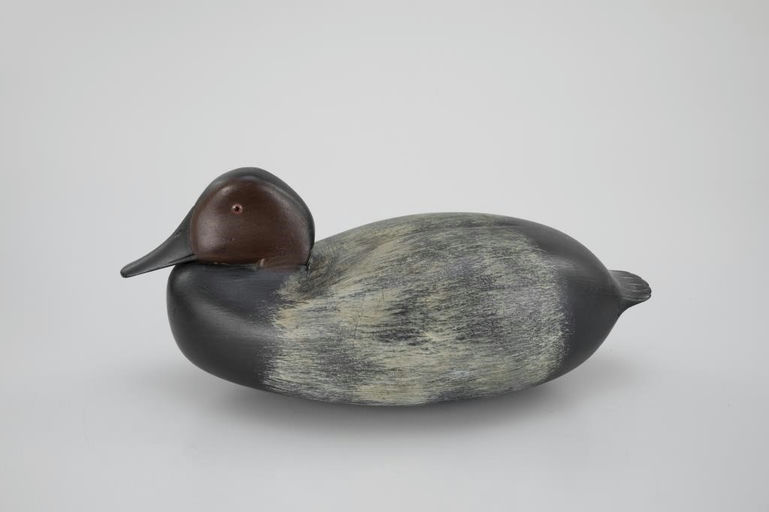 William Quinn – Tucked-Head Canvasback Drake – 2026