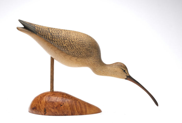 George Strunk – Curlew – 2026
