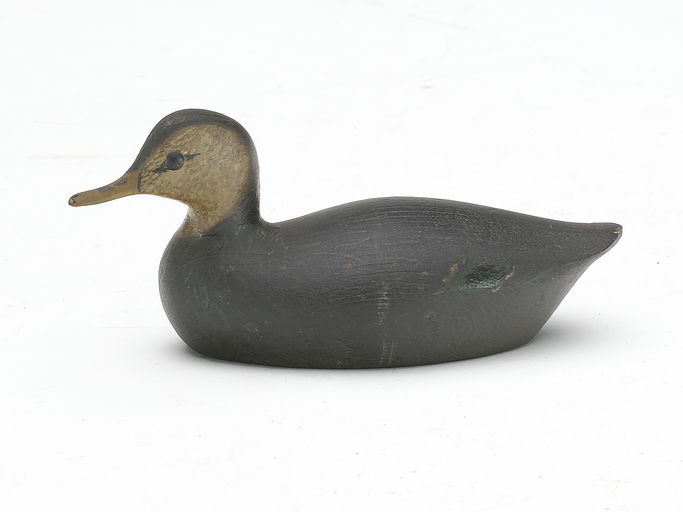 George Boyd – Black Duck – 2023