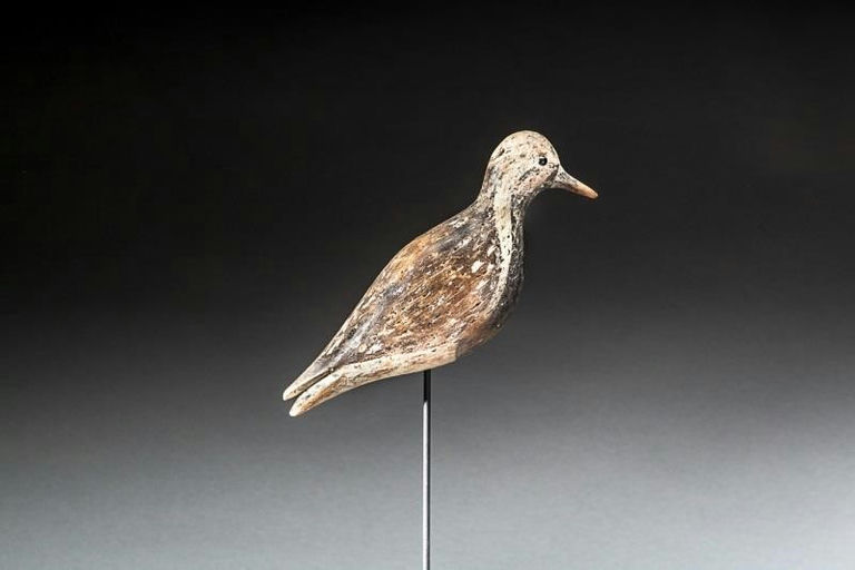 Nathan Cobb, Jr. – Black-Bellied Plover – 2016