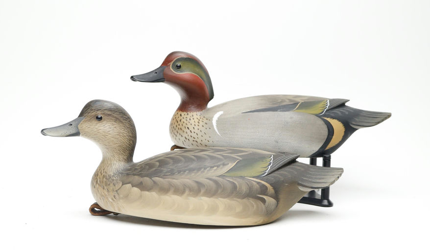 George Strunk – Pair of Green-winged Teal – 2026