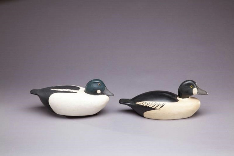 Roswell E. Bliss – Two Goldeneyes – 2011