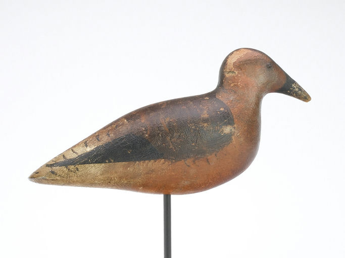 Dodge Factory – Red Knot – 2024