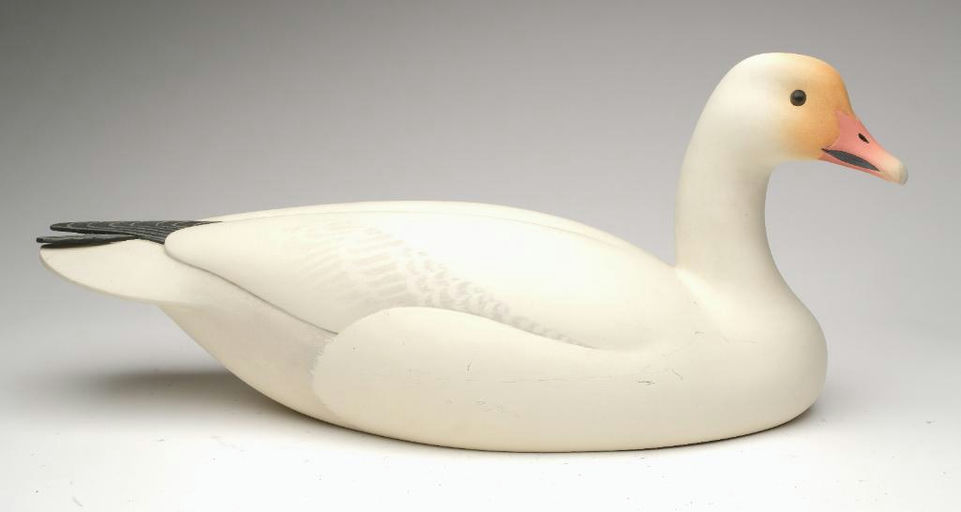 Oliver Lawson – Snow Goose – 2023