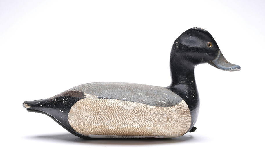 Pat Gregory – Scaup – 2026