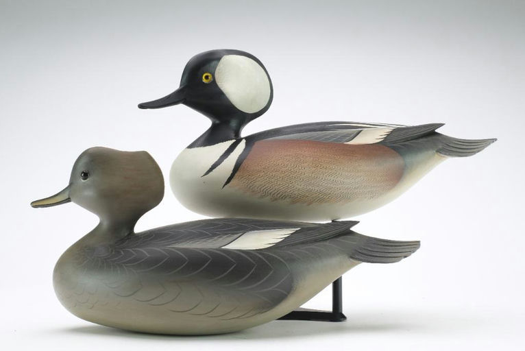 George Strunk – Pair of Hooded Merganser – 2024