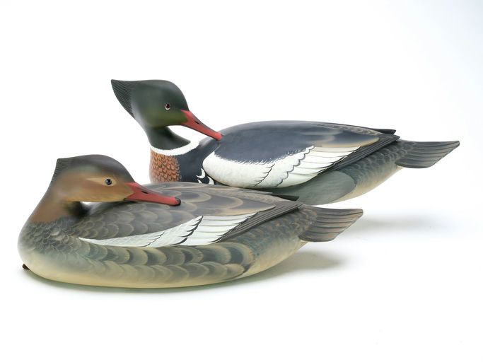 George Strunk – Pair of Red Breasted Merganser – 2025
