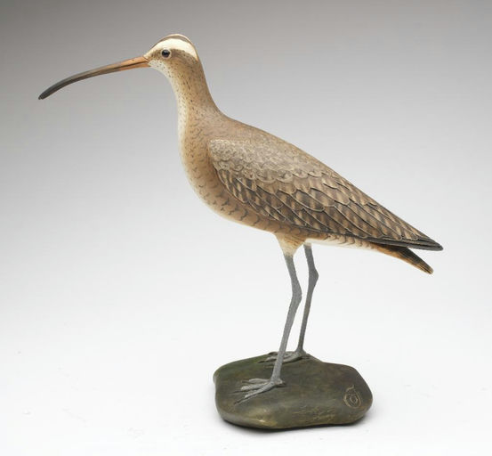 Frank Finney – Curlew – 2023