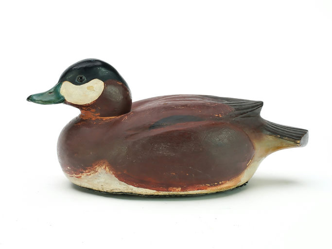 Tom Schroeder – Ruddy Duck – 2025