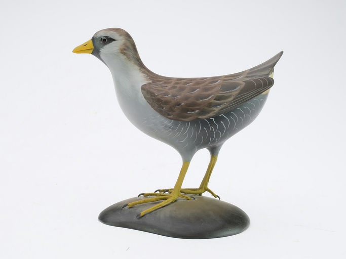 George Strunk – Decorative Sora Rail – 2024