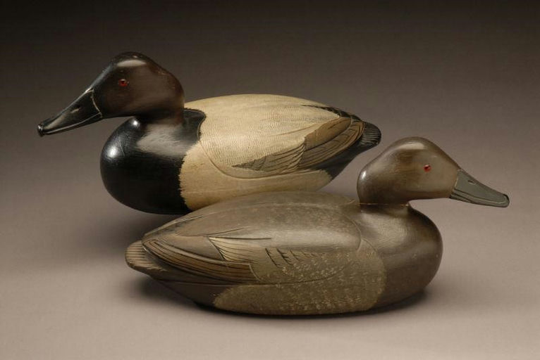 Charles Allen – Canvasback Pair – 2007