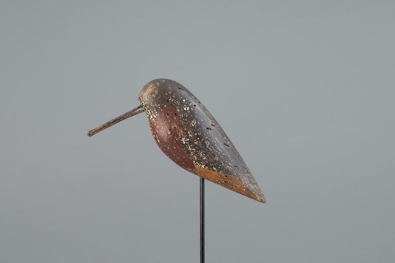 Captain George Combs Sr. – Feeding Robin Snipe – 2025