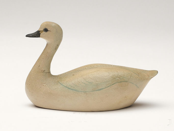 George Boyd – Trumpeter Swan – 2023