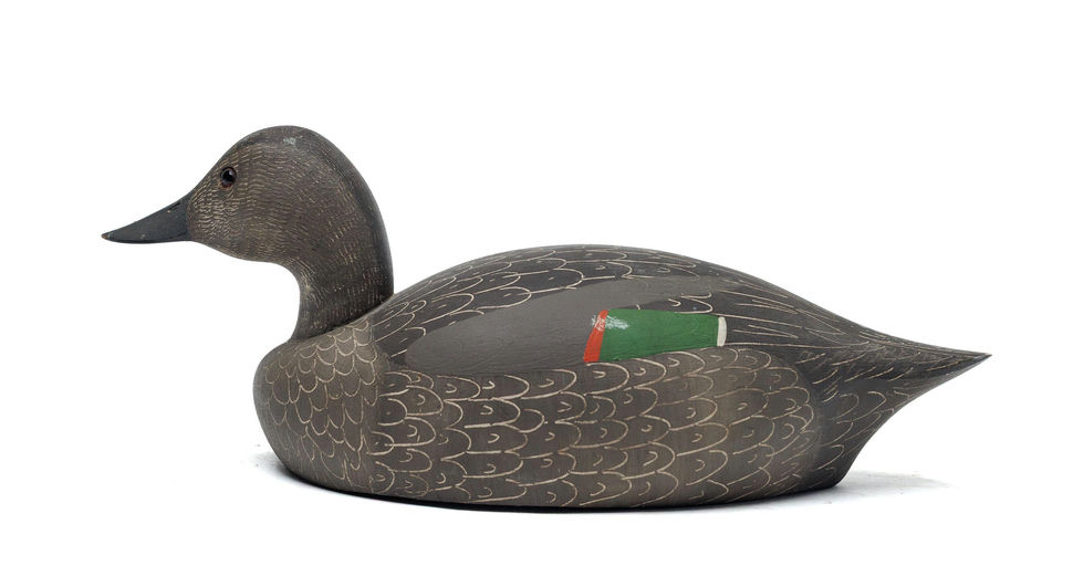 Ken Harris – Pintail – 2026