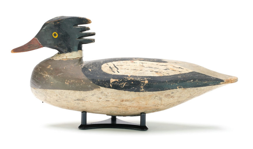 Doug Jester – Red-breasted Merganser – 2025