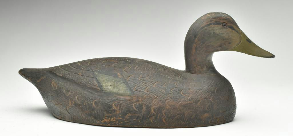 Ben Schmidt – Black Duck – 2023