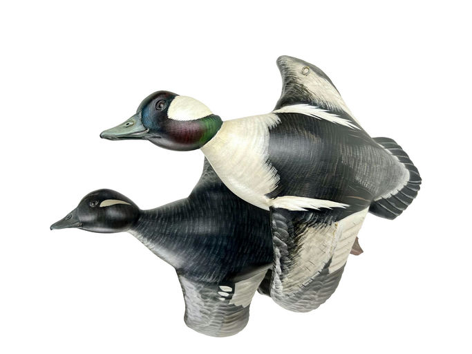 Mike Borrett – Flying Bufflehead Pair – 2024
