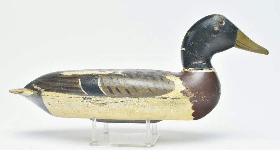 Robert Elliston – Mallard Drake – 2023