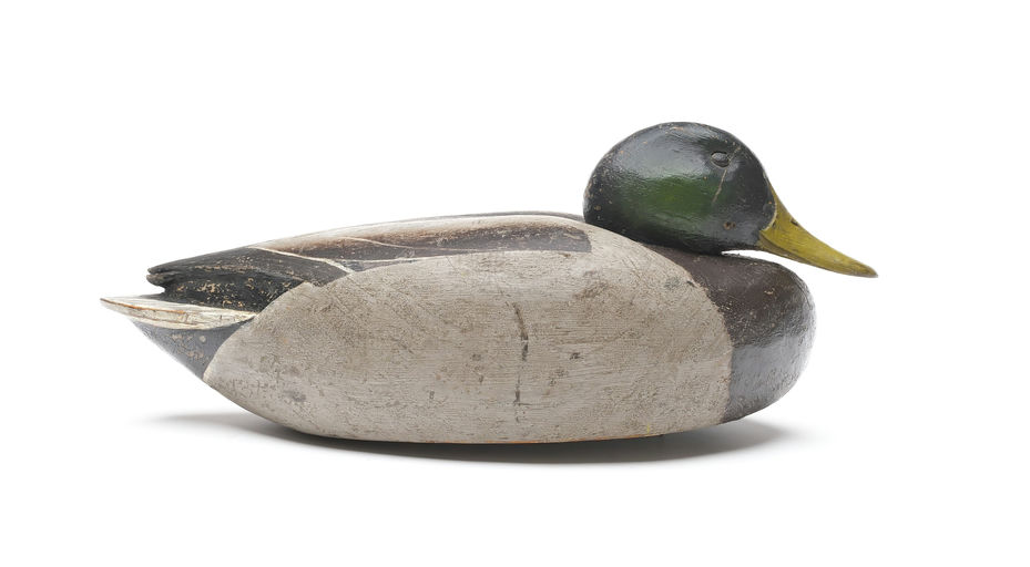 Enoch Reindahl – Mallard – 2026