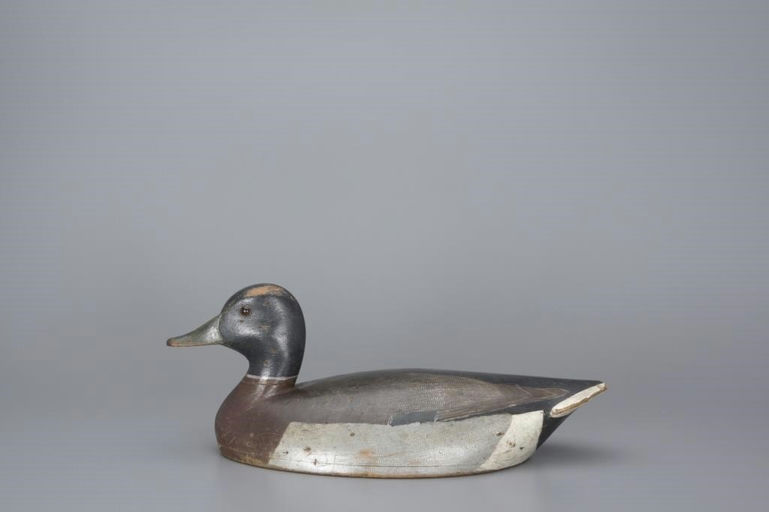 John R. Wells – Mallard Drake – 2017