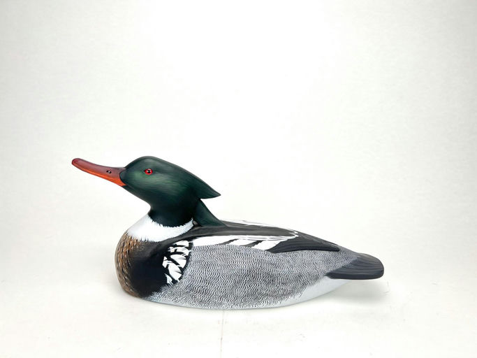 Gary Lawrence — Red-breasted Merganser Drake