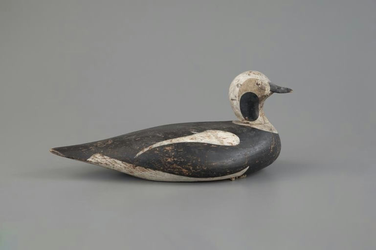Orlando Os Bibber – Turned-head Long-tail Drake – 2025