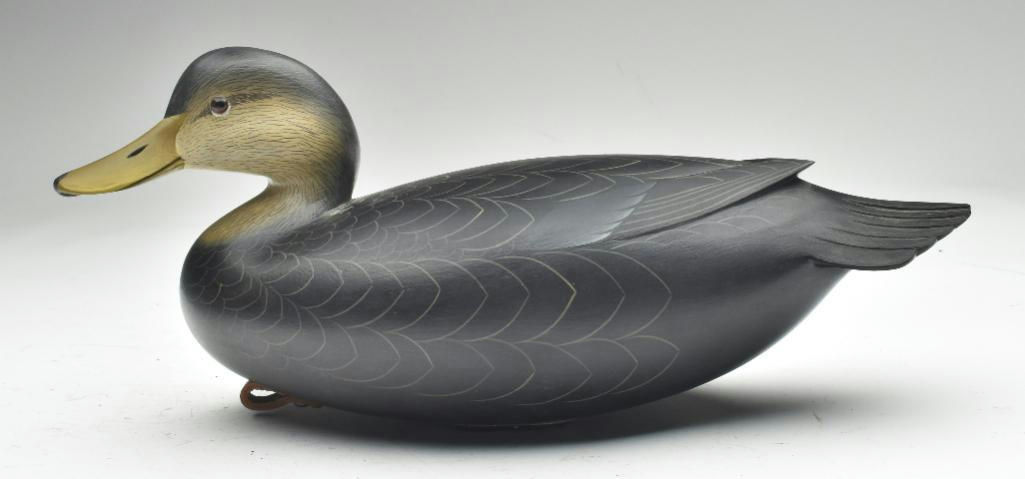 George Strunk – Black Duck – 2023