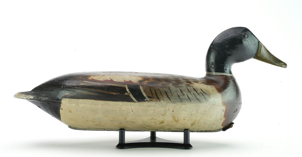 Robert Elliston – Mallard Drake – 2024