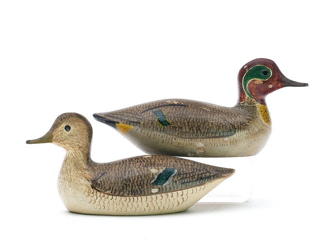 George Boyd – Green-winged Teal – 2025