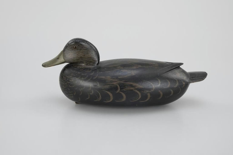 Dan English – Outstanding Black Duck – 2026