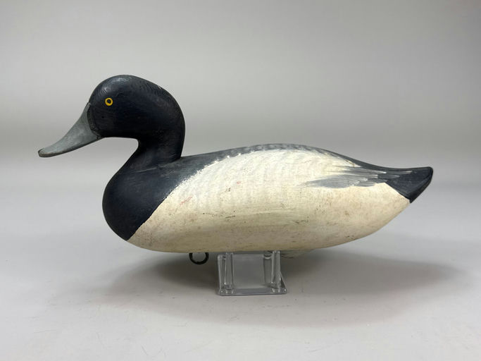 R. Madison Mitchell – Scaup – 2026