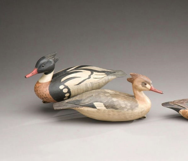 Davison B. Hawthorne – Red-Breasted Merganser Pair – 2009