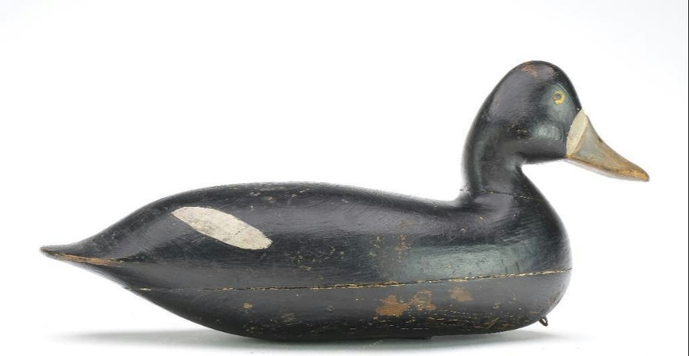 Harry V. Shourds – Scaup – 2024