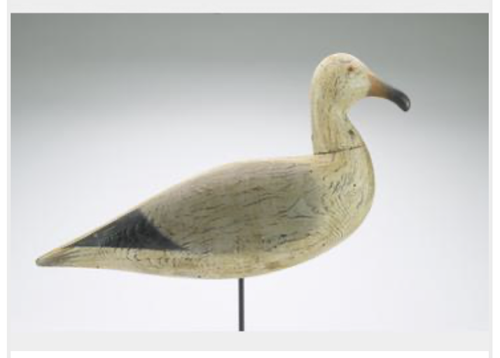 Marty Hanson – Seagull