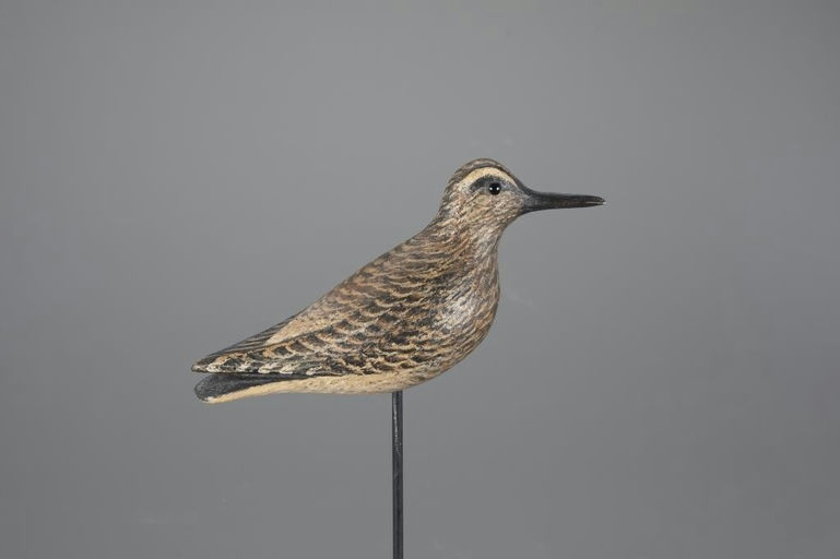 David Ward – Sandpiper – 2024