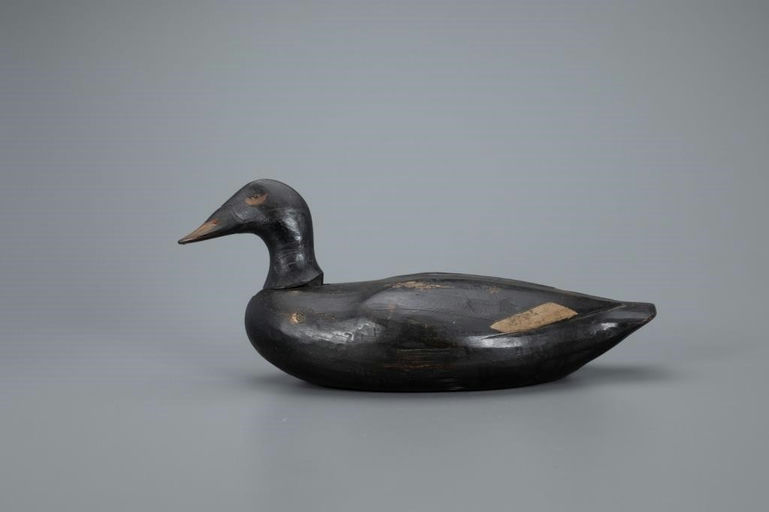 Gus Wilson – Rocking-Head Scoter – 2020
