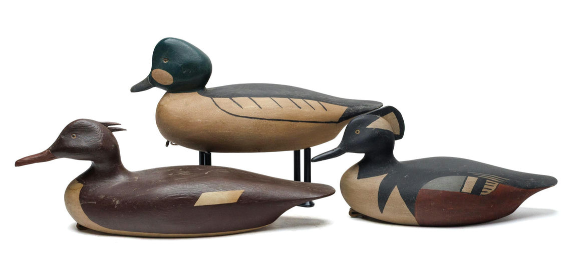 Frank J. Dobbins – Hooded merganser – 2026