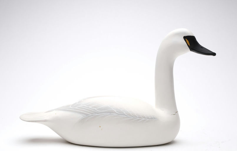Charlie Joiner – Swan – 2026