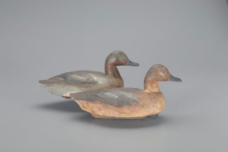 Joseph Shimon – Green-winged Teal Pair – 2021