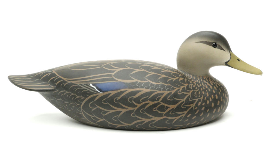 Oliver Lawson – Black Duck – 2025