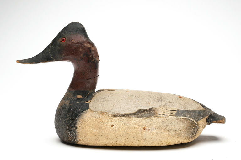 Ward Brothers – Canvasback – 2026
