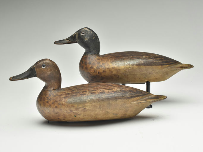 Robert Elliston – Pair of Blue-winged Teal – 2023