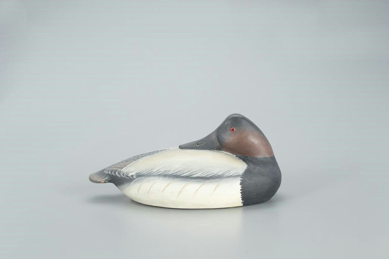 Ward Brothers – Sleeping Canvasback – 2022