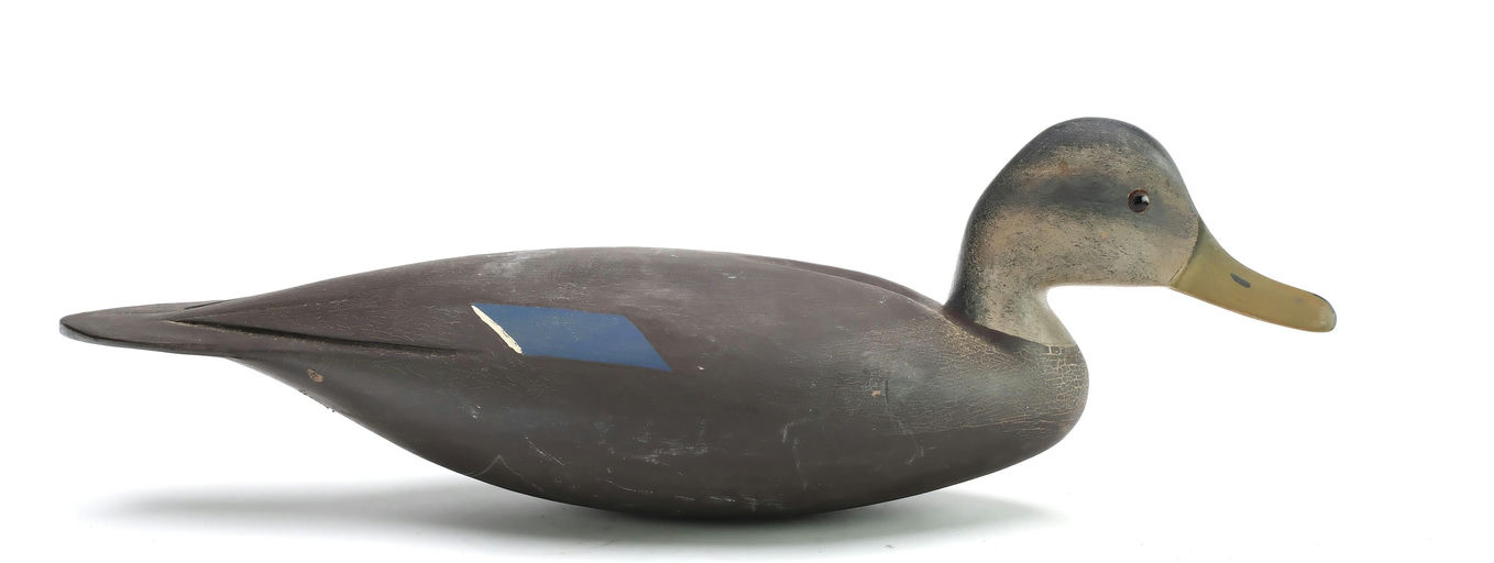 Hurley Conklin – Black Duck – 2025