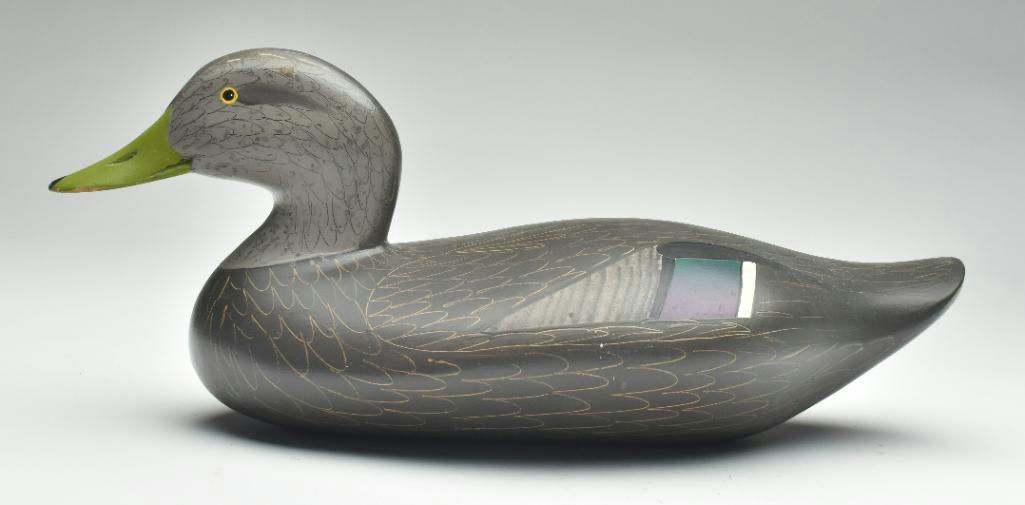 R. Madison Mitchell – Black Duck – 2023